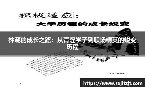 k1体育官网